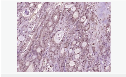 6052b096a6f01.png image.png