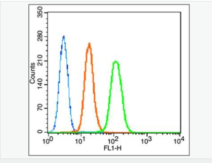 60543c8789e4e.png image.png