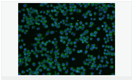 60594cc9f3420.png image.png