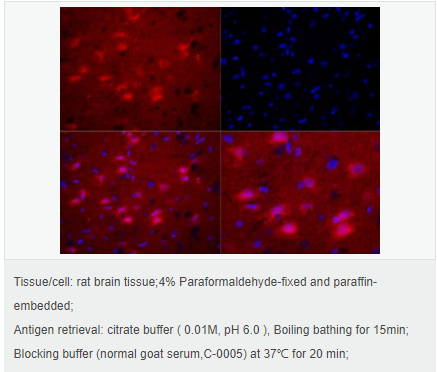 605c450848cdf.png image.png