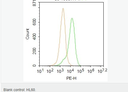 605d823e1f909.png image.png