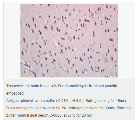 605d855add87f.png image.png