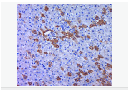 60641fa200c33.png image.png