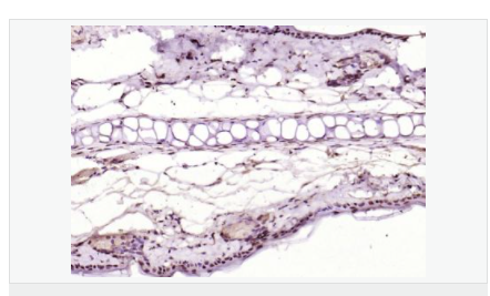 60653204664c0.png image.png