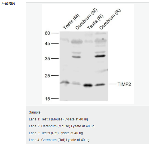 60656f7dc232e.png image.png