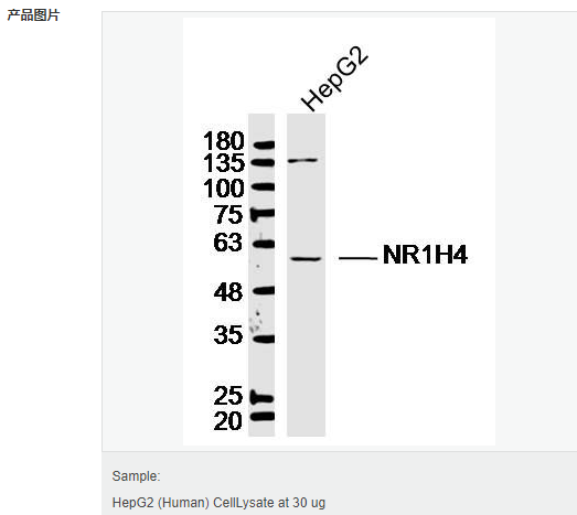 6066c8e56a5bf.png image.png