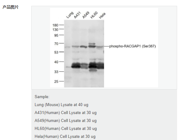 60769e3dcad8a.png image.png