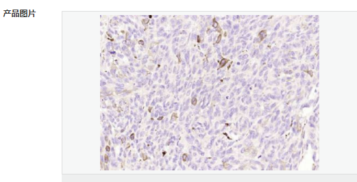 60794b186a6c4.png image.png