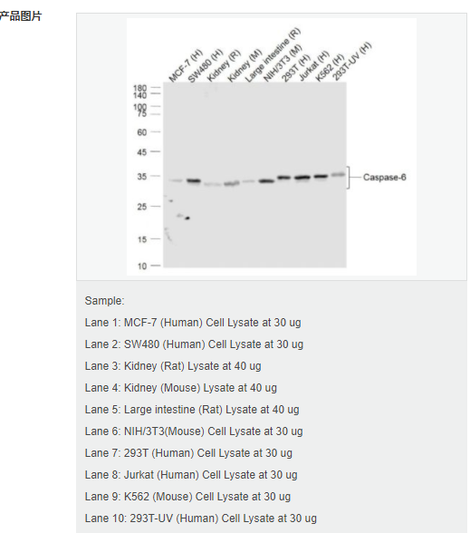 607d3429e4de4.png image.png