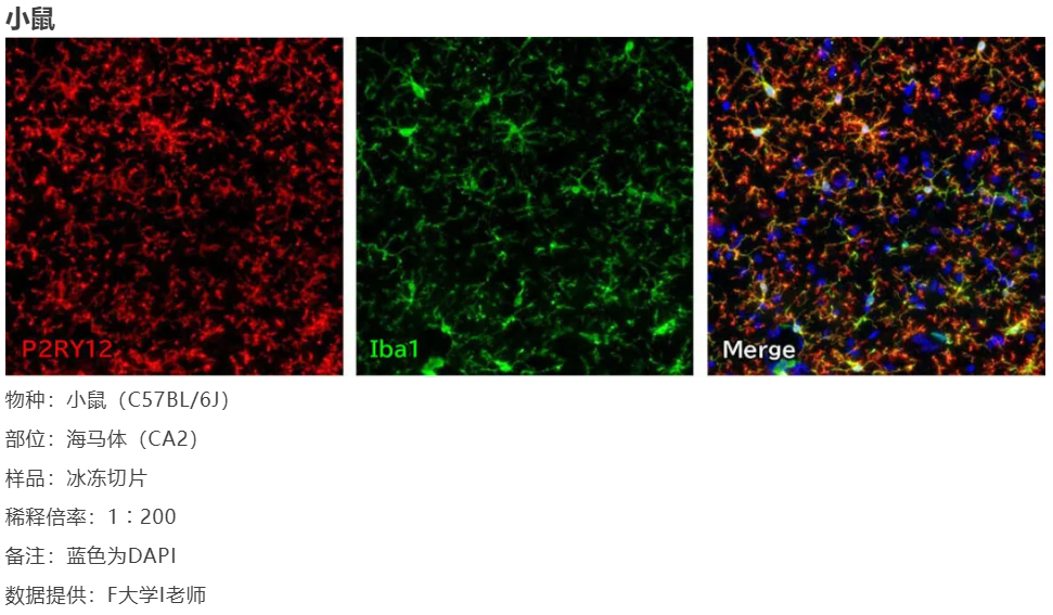 67ab010946c65.png image.png